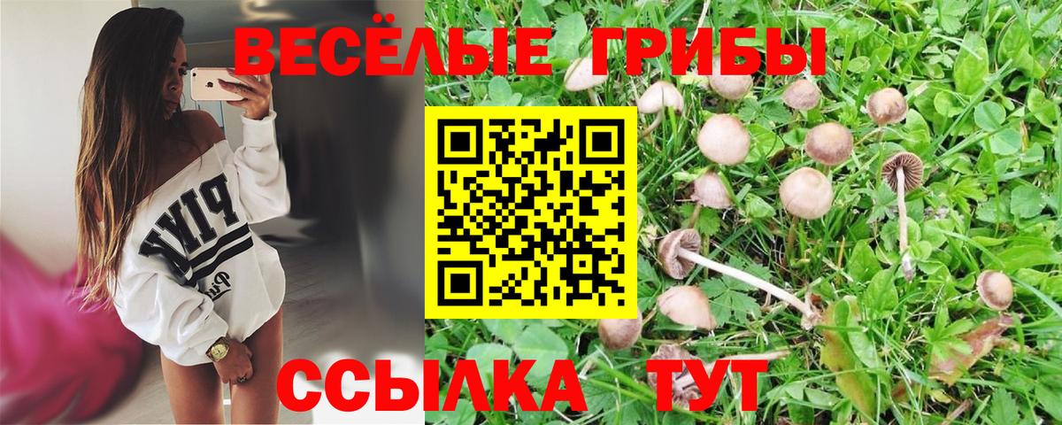 закладка  Вход с VPN  Азнакаево  Галлюциногенные грибы прущие грибы 